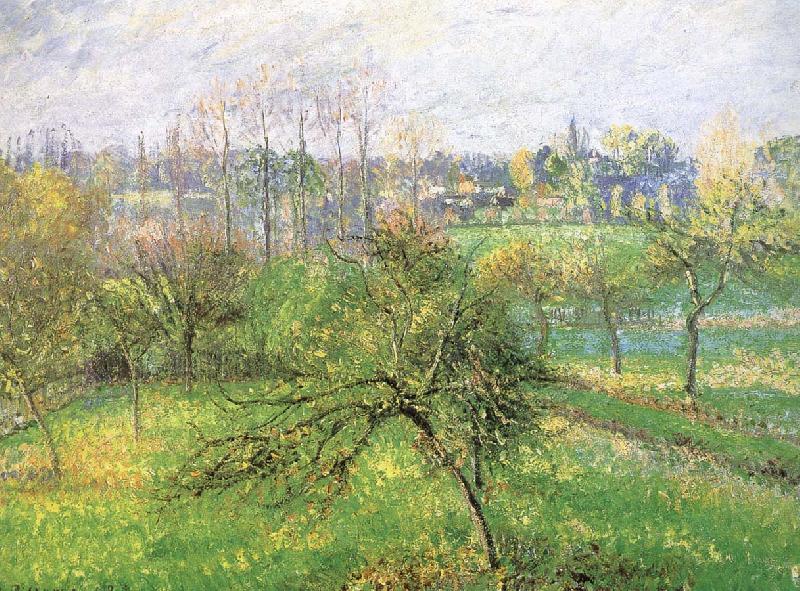 Camille Pissarro Apple Sweden oil painting art